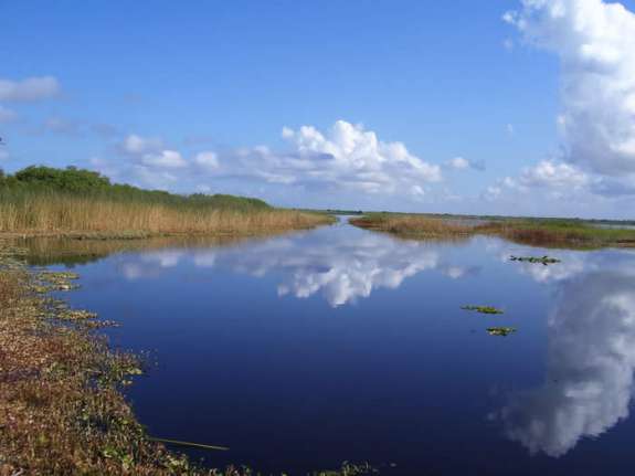 Clear Water For Florida’s Troubled Indian River Lagoon - Central ...