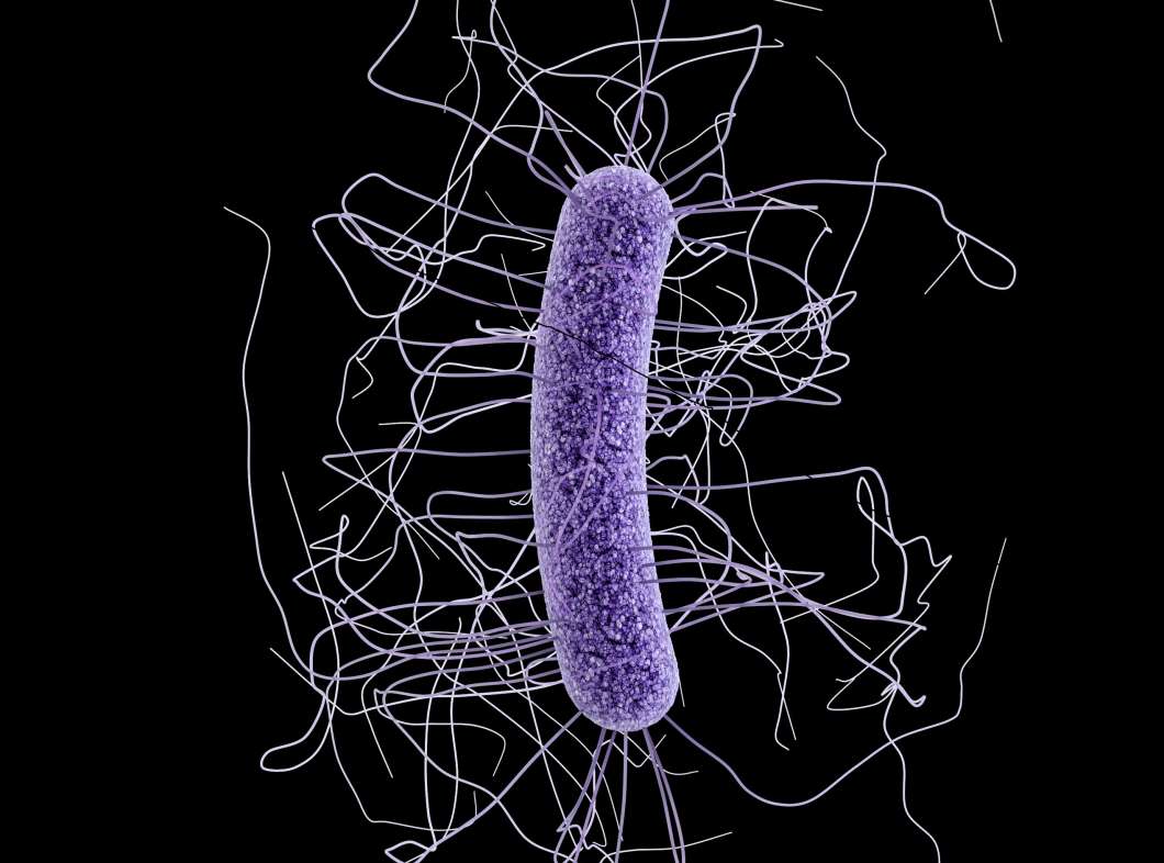 c-diff