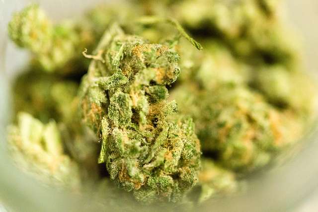 It's legal in all of its other medical forms. Photo: Flickr Creative Commons
