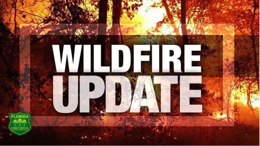 Volusia County Fire Near New Smyrna Beach is 90 Percent Contained NPR